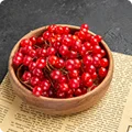 Schisandra Fruit